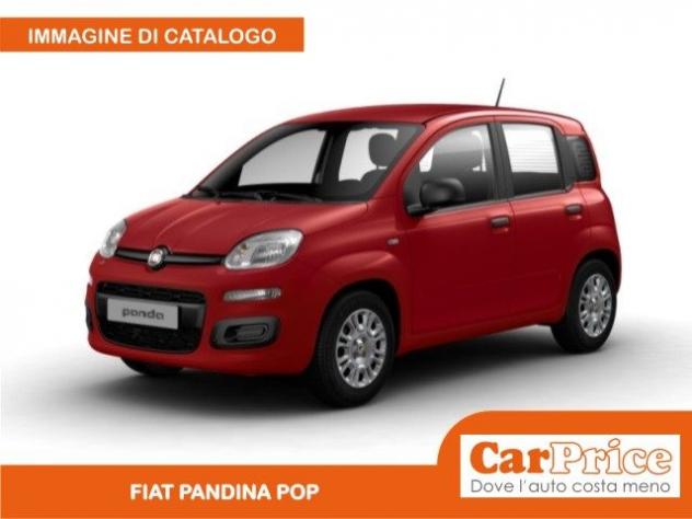 FIAT Pandina 1.0 FireFly 65CV Hybrid Pop rif. 23979680 - Foto 2