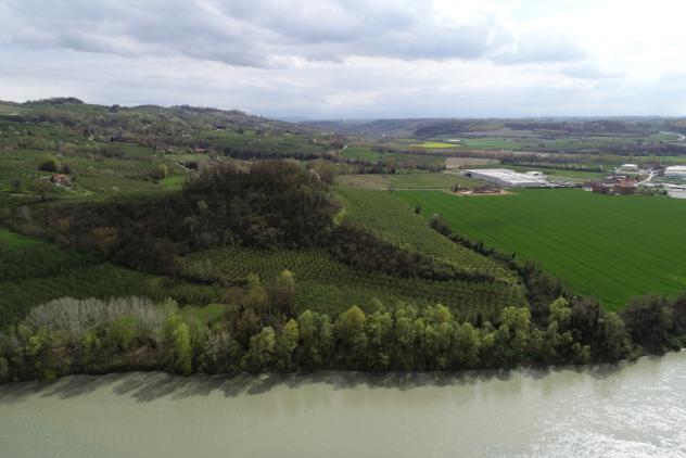 Agricolo in vendita a Cherasco - Foto 10