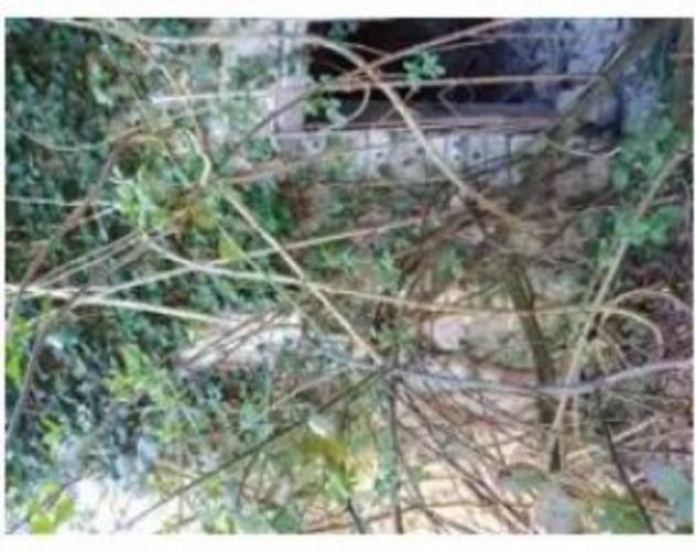 Immobile in asta di 10407 m² con più di 5 locali in vendita a Fossombrone - Foto 4
