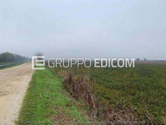 Terreno di 22003 mq in vendita a Legnago - Rif. 4552173