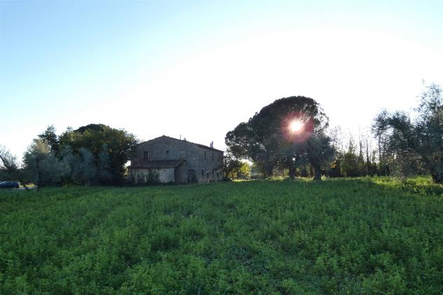 Rustico casale in Vendita in zona MONTEMASSI con giardino - Foto 10