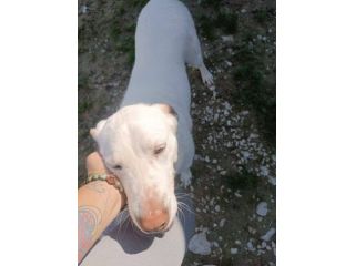 Casper
