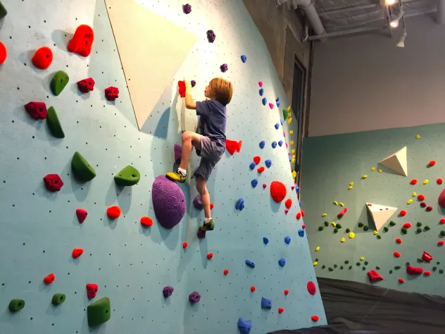 Struttura Arrampicata per Ludoteche e Baby Parking - Foto 7