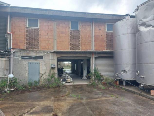 Immobile in asta di 1049 m² in vendita a Valdina - Foto 8