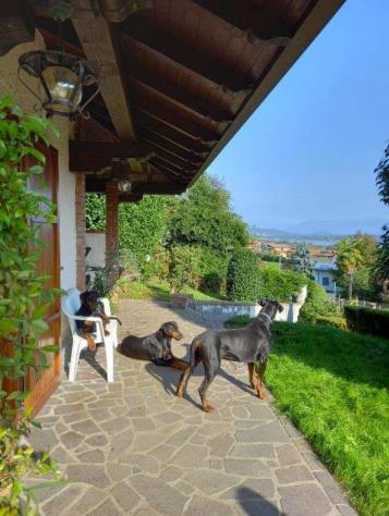 Villa in vendita a Dormelletto - Foto 3