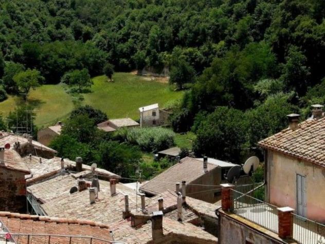 Trilocale in Vendita in Piazza Umberto I a Piansano - Foto 6