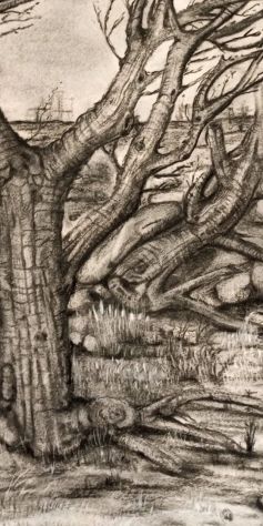 Corso di Disegno e pittura online - Foto 2