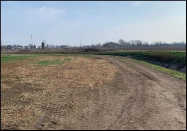 Immobile in asta di 10537 m² in vendita a Sorgà - Foto 5