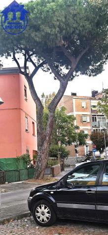 Luminoso trilocale a 250 metri dal mare – Zona San Giuliano - Foto 4
