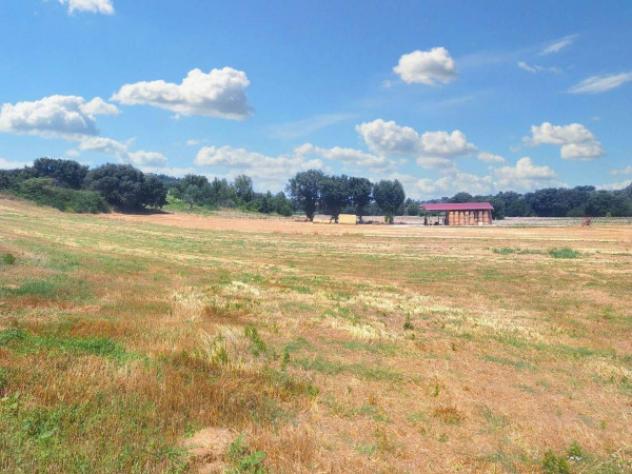 Immobile in asta di 221655 m² in vendita a Castello Tesino - Foto 5