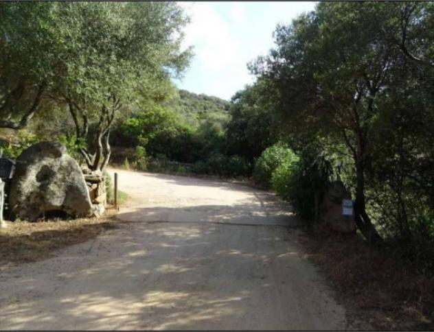 Immobile in asta di 258216 m² in vendita a Loiri Porto San Paolo - Foto 15