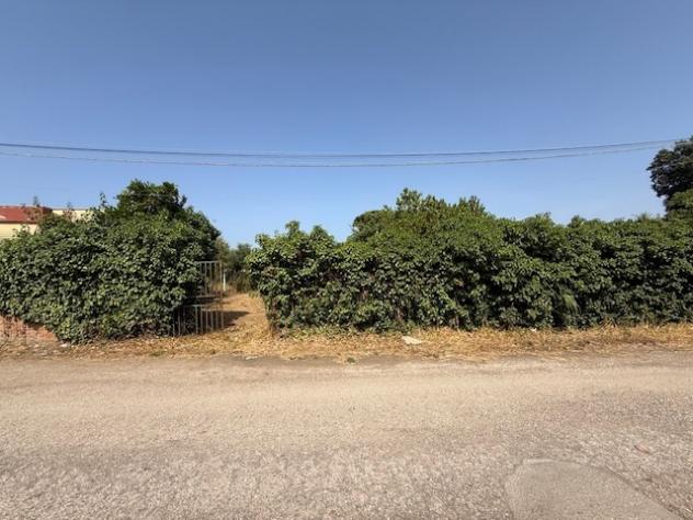 Terreno edificabile in vendita a Nettuno - Foto 18