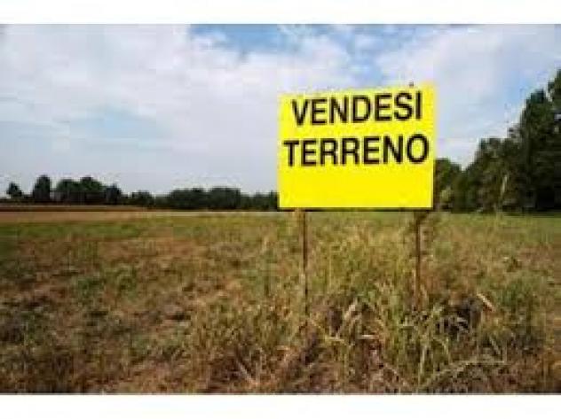 Terreno agricolo in vendita a Arena Metato - San Giuliano Terme 54000 mq  Rif: 148025