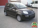 FIAT Panda 1.0 FireFly S&S Hybrid  rif. 23371975