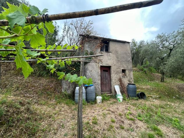 Agricolo in vendita a Arcola - Foto 5