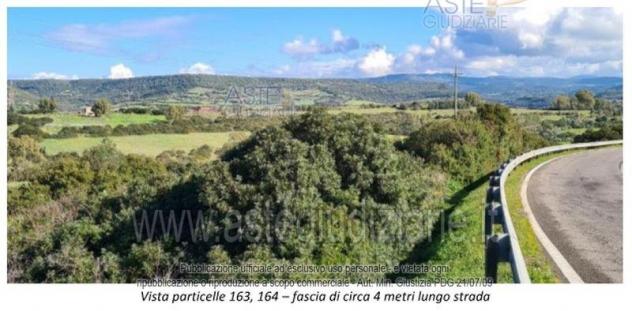 IMMOBILI-ALTRA CATEGORIA-Comune di Fordongianus - Foto 6