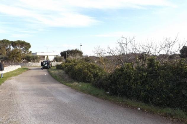 Immobile in asta di 3514 m² in vendita a Putignano - Foto 2