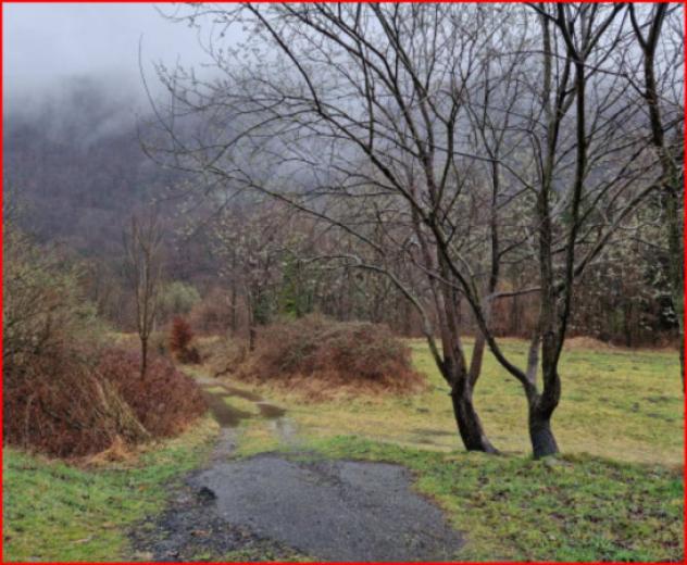 Immobile in asta di 19680 m² in vendita a Valganna - Foto 8