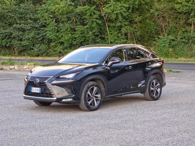 Lexus NX 300h Hybrid 4WD F-Sport E6 Automatico 2020 - Foto 3