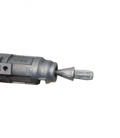 CILINDRETTO PORTIERA VOLKSWAGEN T-CROSS Serie 2GM837167 (19) - Foto 10
