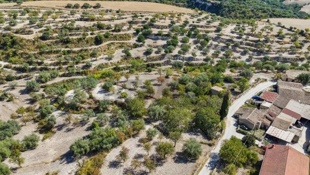 Cascina/Casale in vendita a Modica, Frigintini - Foto 13
