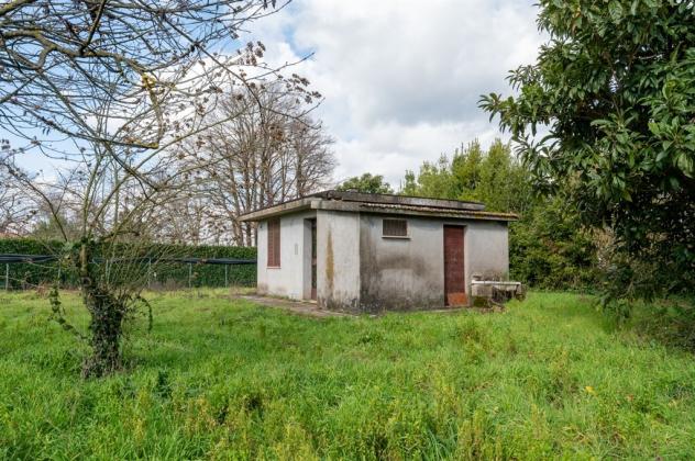 Agricolo in Via Colle Vecchio - Foto 6