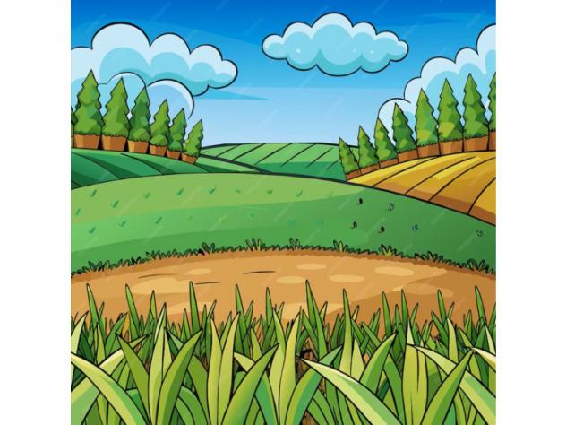 Agricolo in Via Sacrofano-Prima Porta