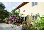 Rustico in vendita a Migliarino - Vecchiano 280 mq  Rif: 1090294