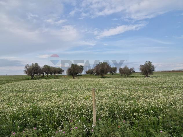 Terreno in vendita a Vittoria