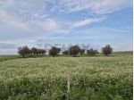 Terreno in vendita a Vittoria