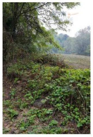 IMMOBILI-IMMOBILE RESIDENZIALE-Via Grande, 91, 47835 Sant'Ansovino RN, Italia - Foto 6