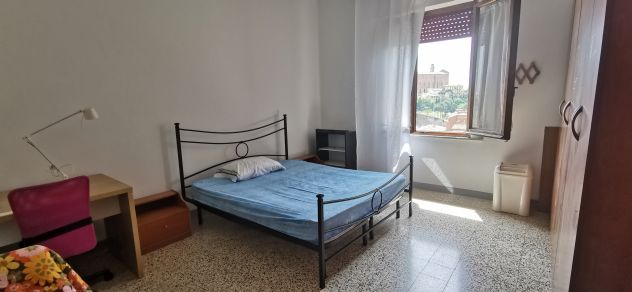Camera singola per studenti Siena da giugno 2026