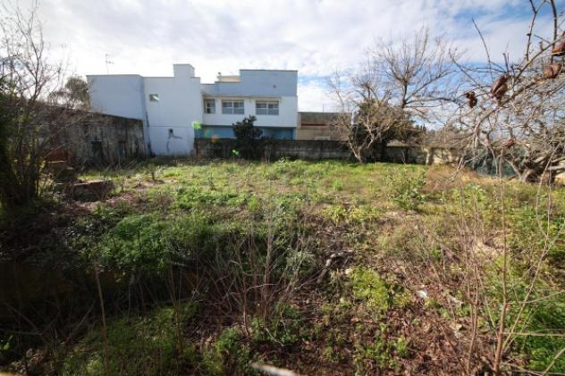 terreno agricolo in vendita a Mesagne