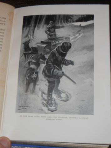 WHITE FANG (ZANNA BIANCA), JACK LONDON, METHUEN & CO. LTD. London 1928. - Foto 6