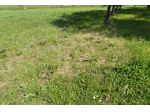 Terreno agricolo in vendita a Alica - Baccanella - Palaia 5700 mq  Rif: 1411633