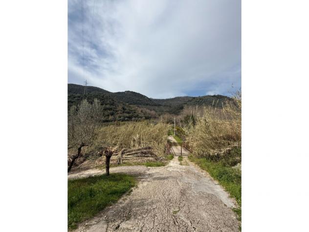 Agricolo in Via Trinità