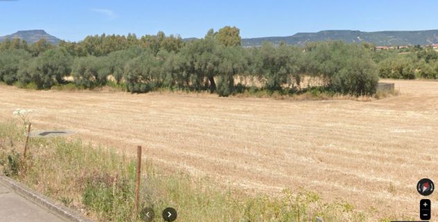 SANTADI (SU) Via RIO CANE, TERRENO 16541 MQ con 50 OLIVI ADIACENTE PAESE 3,5€/m² - Foto 8