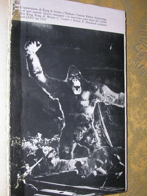 KING KONG - Foto 9