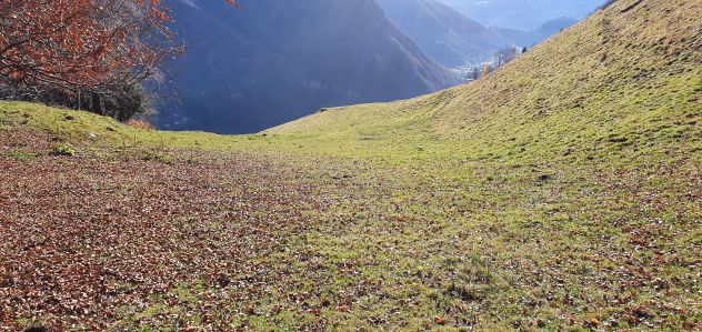 RUSTICO / CASALE - Foto 6