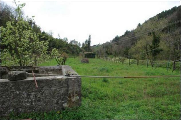 Seminativo in vendita a Fosdinovo - Foto 7