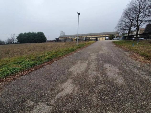 Immobile in asta di 5486 m² in vendita a San Pietro di Morubio - Foto 5