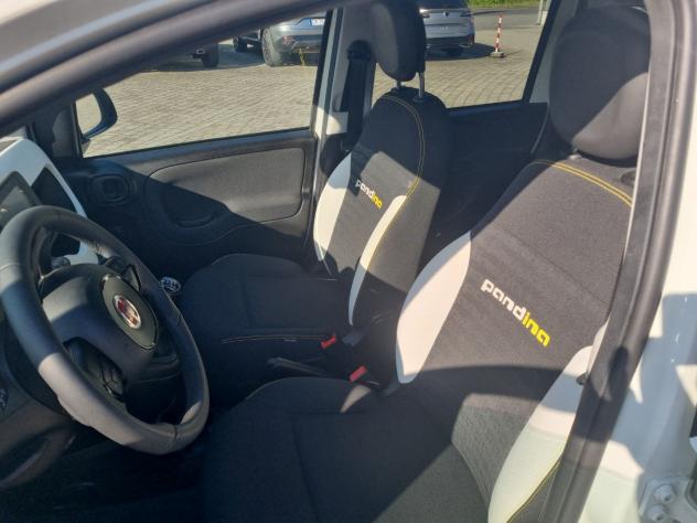 FIAT Panda 1.0 FireFly 70cv S&S Hybrid Pandina - DISPONIBILI VARI COLORI - Foto 7