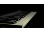 Organista
