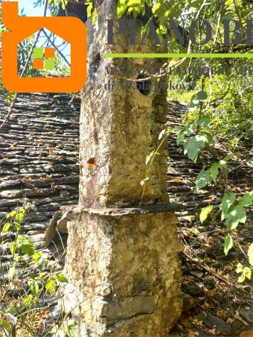 V000561 - CASA RUSTICA CON MOLTO TERRENO - Foto 10