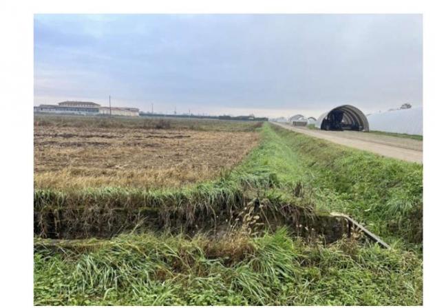 339/2024 2 BG - terreni agricoli in asta a pagazzano - Foto 11