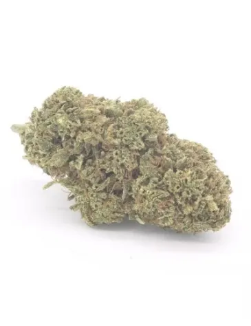 Cheddar