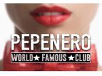 HOSTESS e CUBISTE per i migliori DISCO NIGHT CLUB