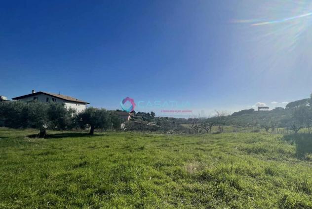 Seminativo in vendita a Silvi - Foto 4