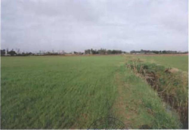 Immobile in asta di 88446 m² in vendita a Terracina - Foto 2
