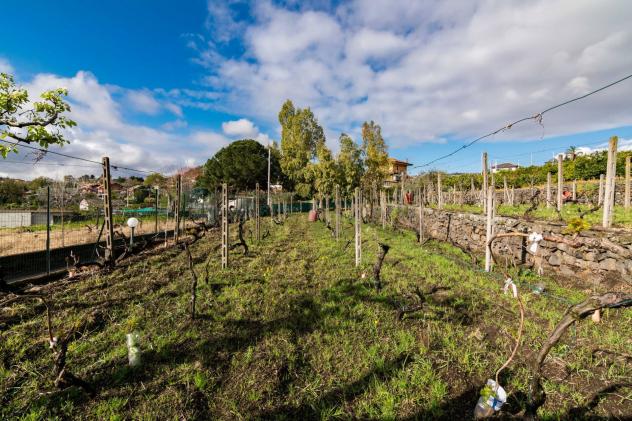 Terreno Edificabile in vendita a Viagrande - Foto 2